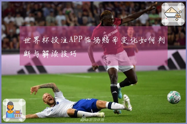 世界杯投注APP临场赔率变化如何判断与解读技巧