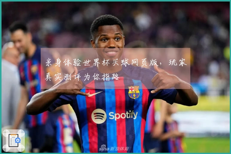 亲身体验世界杯买球网页版，玩家真实测评为你指路