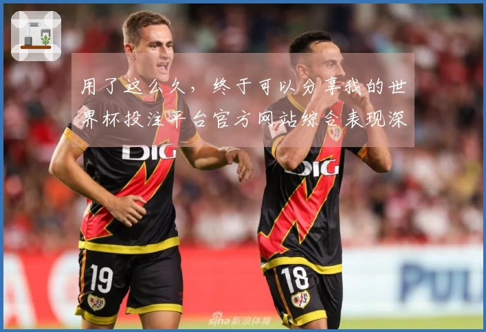 用了这么久，终于可以分享我的世界杯投注平台官方网站综合表现深度分析体验了