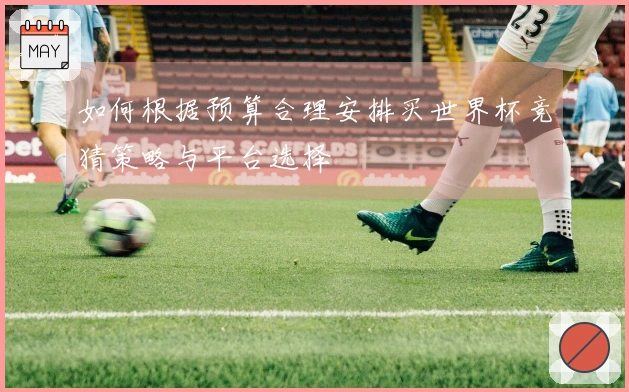 如何根据预算合理安排买世界杯竞猜策略与平台选择