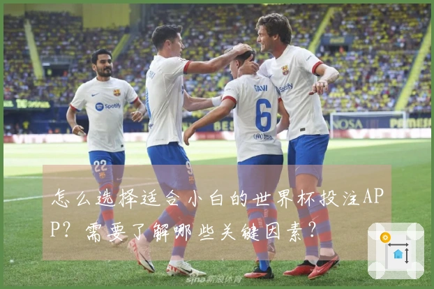 怎么选择适合小白的世界杯投注APP？需要了解哪些关键因素？