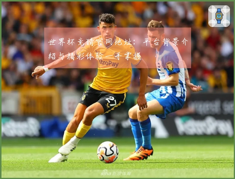 世界杯竞猜官网地址：平台背景介绍与精彩体验一手掌握