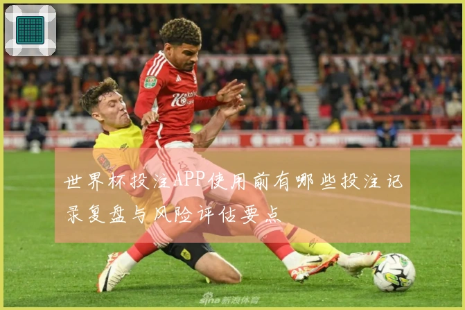 世界杯投注APP使用前有哪些投注记录复盘与风险评估要点
