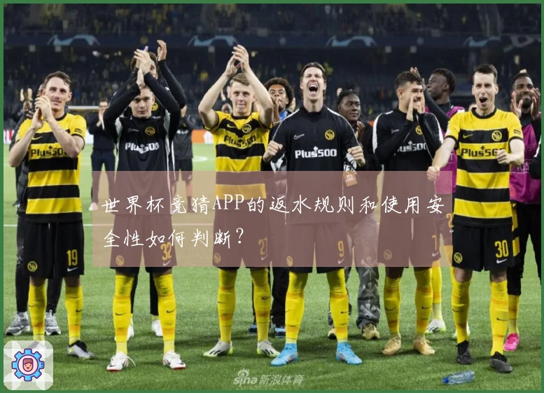 世界杯竞猜APP的返水规则和使用安全性如何判断？