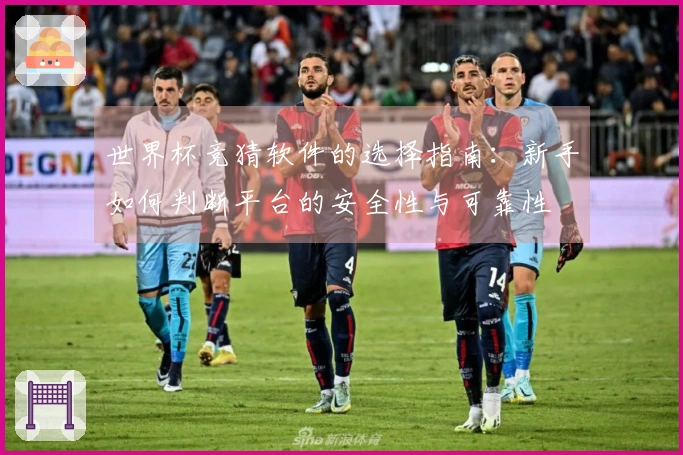 世界杯竞猜软件的选择指南：新手如何判断平台的安全性与可靠性