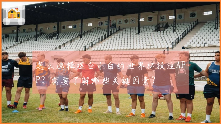 怎么选择适合小白的世界杯投注APP?需要了解哪些关键因素?