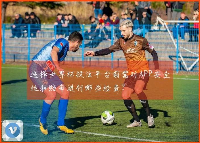 选择世界杯投注平台前需对APP安全性和赔率进行哪些检查？