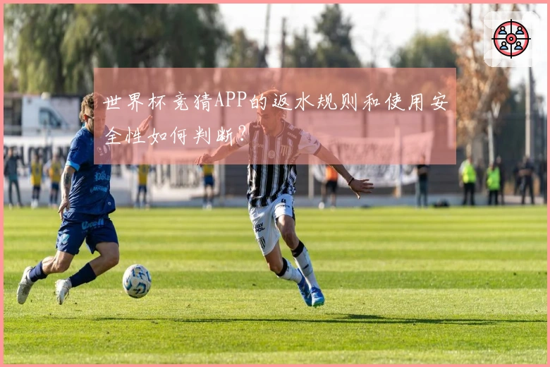 世界杯竞猜APP的返水规则和使用安全性如何判断?