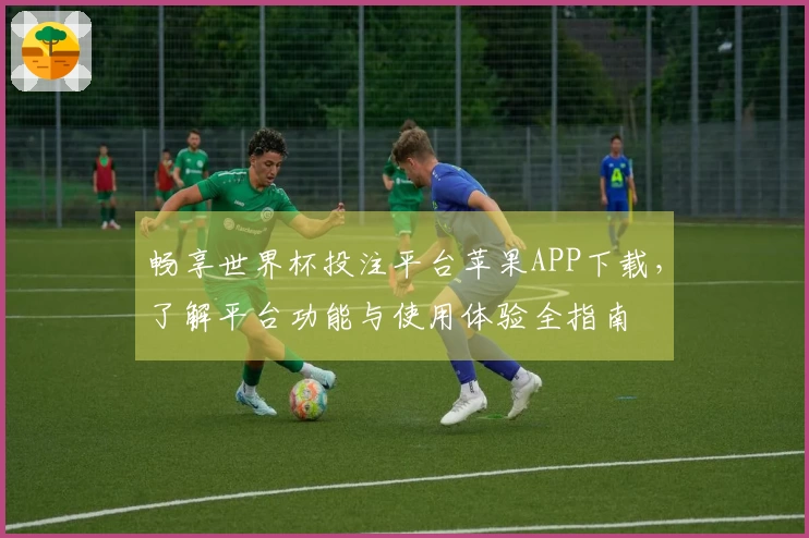 畅享世界杯投注平台苹果APP下载，了解平台功能与使用体验全指南