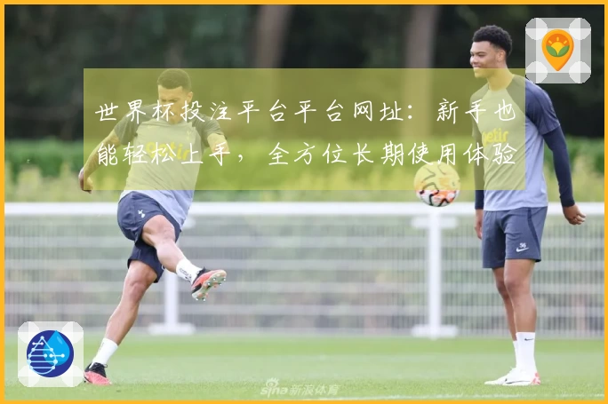 世界杯投注平台平台网址：新手也能轻松上手，全方位长期使用体验分享