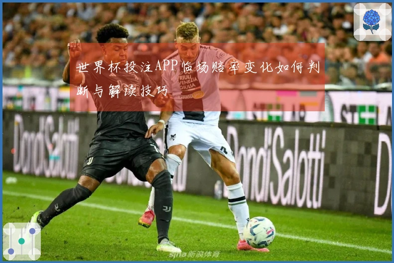 世界杯投注APP临场赔率变化如何判断与解读技巧