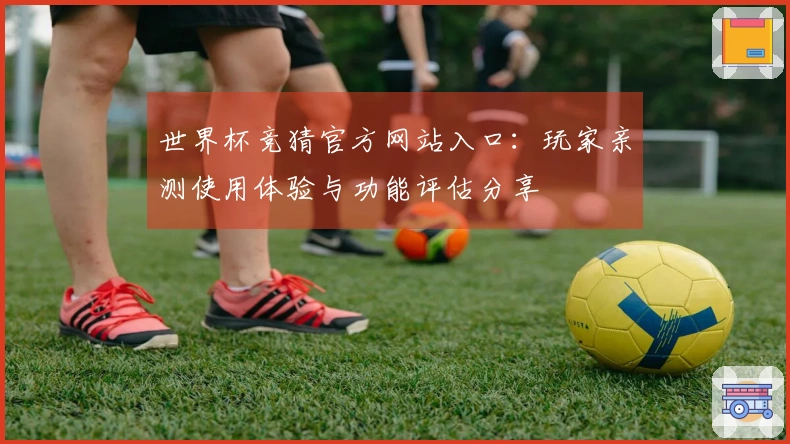 世界杯竞猜官方网站入口：玩家亲测使用体验与功能评估分享