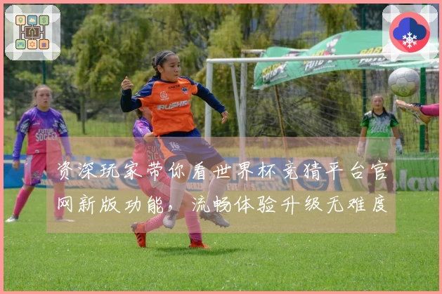 资深玩家带你看世界杯竞猜平台官网新版功能，流畅体验升级无难度