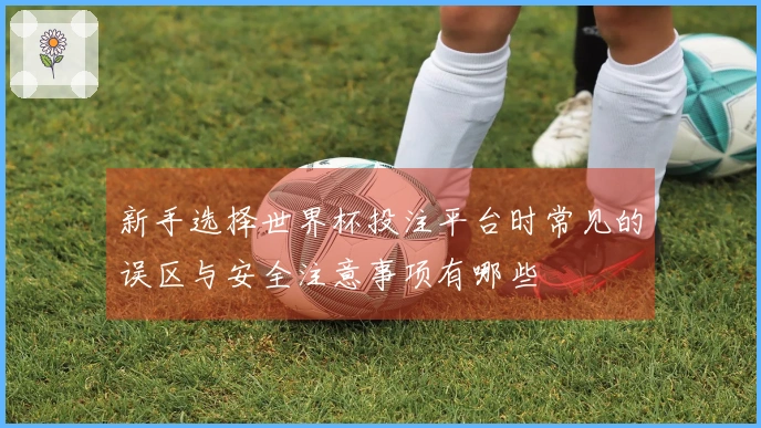 新手选择世界杯投注平台时常见的误区与安全注意事项有哪些